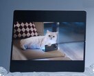 Se dice que el Vivo X Fold5 funciona bien con el Apple Watch y también con iPhones, MacBooks y iCloud. (Fuente de la imagen: Vivo)