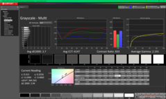 Escala de grises antes de la calibración
