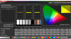 CalMAN ColorChecker calibrado (espacio de color de destino sRGB)