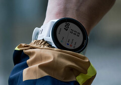 El Forerunner 955 seguirá recibiendo actualizaciones de software estables en consonancia con los modelos más recientes. (Fuente de la imagen: Garmin)