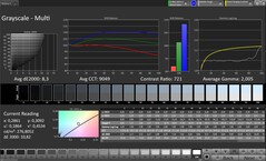 CalMAN Escala de grises