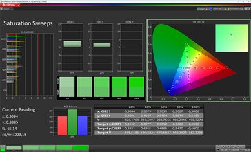 Saturación de color (modo de visualización Vívido, temperatura de color Cálido +1, espacio de color de destino sRGB)