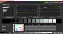 CalMAN Colorchecker Escala de grises