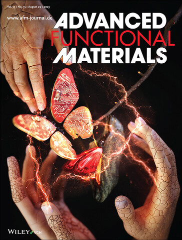 El invento de SK On contra las dendritas de litio, portada de la revista Advanced Functional Materials