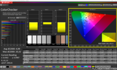 Calman ColorChecker después de la calibración