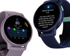 El resumen diario, las alertas de descanso y las alertas de estrés ya están disponibles para el Vivoactive 5 (arriba). (Fuente de la imagen: Garmin).