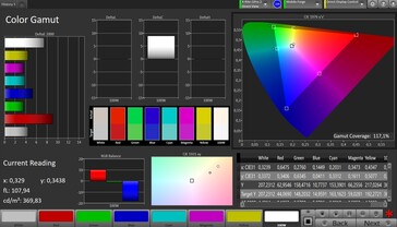 CalMAN espacio de color sRGB