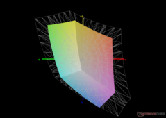 vs. sRGB: 61% de cobertura