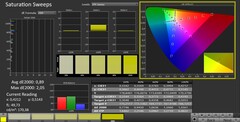 CalMAN: Saturación de color (calibrada)