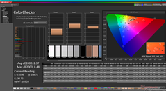 ColorChecker (ajuste DCI-P3)