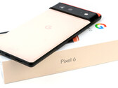 Los Google Pixel 6 y Pixel 6 Pro utilizan el SoC Tensor propio de la compañía. (Fuente: Notebookcheck)