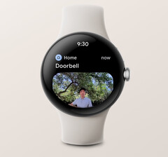 La aplicación Google Home ya puede mostrar notificaciones con imágenes de los timbres de vídeo Nest en algunos smartwatches Wear OS 3. (Fuente de la imagen: Google)