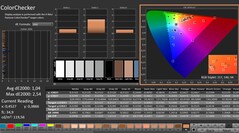 Calman: ColorChecker (calibrado)
