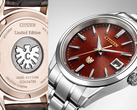 «The Citizen» AQ4100-65X y AQ4106-00B