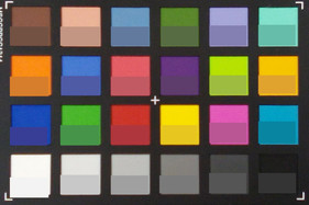 Colores del ColorChecker. El color de referencia está en la mitad inferior de cada cuadrado.