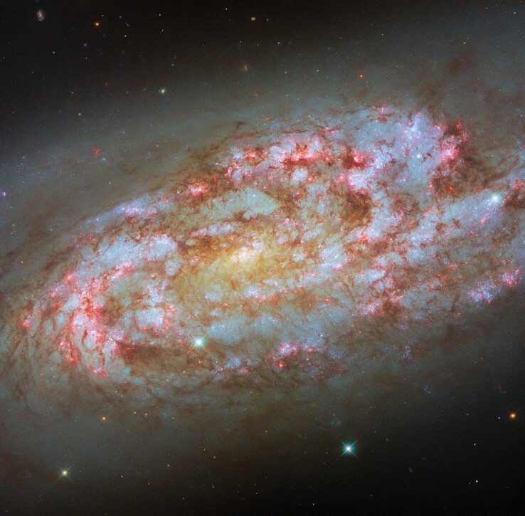Imagen del Hubble de NGC 1792 (Fuente de la imagen: ESA/Hubble, NASA, D. Thilker, F. Belfiore, J. Lee, y el equipo PHANGS-HST)