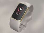 Fitbit podría seguir vendiendo el Charge 5 durante unos meses más. (Fuente de la imagen: Fitbit)