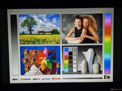 Amplios ángulos de visión IPS