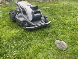 El Airseekers Tron detectó con fiabilidad a nuestro muñeco erizo en la prueba.