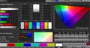 CalMAN Color Space DCI P3 – Modo de visualización ajustable