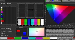 CalMAN Espacio de color sRGB - natural