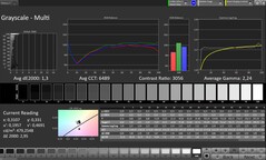 CalMAN Escala de grises