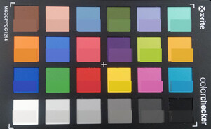 ColorChecker: El color de referencia se encuentra en la mitad inferior de cada campo.