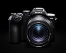 La Sony RX10 V cuenta con un zoom óptico de 25x.