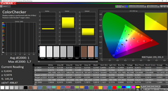 CalMAN ColorChecker calibrada