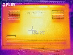 Distribución del calor en reposo (parte inferior)