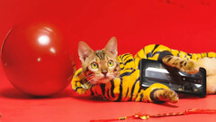 Un &quot;tigre&quot; con un teléfono RedMagic. (Fuente: RedMagic)