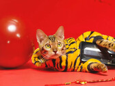 Un "tigre" con un teléfono RedMagic. (Fuente: RedMagic)