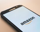 Amazon envía anualmente millones de artículos a su 
