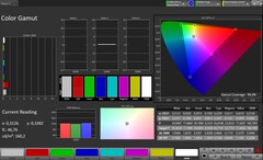 Pantalla interna: Gama de colores (Perfil: Profesional, Espacio de color de destino: sRGB)