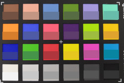 ColorChecker: El color de destino se muestra en la mitad inferior de cada campo.