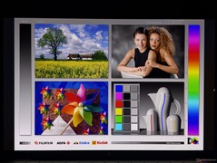 Amplios ángulos de visión de la pantalla OLED