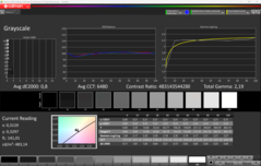 Escalas de grises CalMAN (tras la calibración)