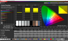 CalMAN ColorChecker (espacio de color de destino AdobeRGB)