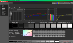 Escala de grises antes de la calibración