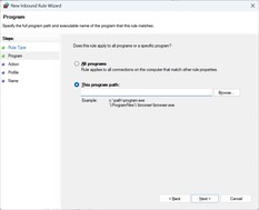 Introduzca la ruta del archivo UplayWebCore.exe