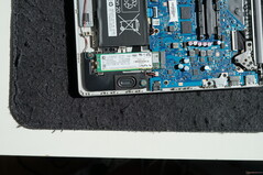 Desmontaje HP 255 G10