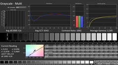 CalMAN: Escala de grises (calibrada)