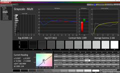 Escala de grises antes de la calibración (pantalla principal)