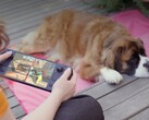 Muchos jugadores siguen prefiriendo la Steam Deck a pesar de su hardware más débil.