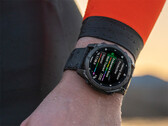 El software de sistema 13.37 no es la actualización que Garmin ha estado anunciando a través de las últimas versiones beta. (Fuente de la imagen: Garmin)