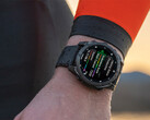 El software de sistema 13.37 no es la actualización que Garmin ha estado anunciando a través de las últimas versiones beta. (Fuente de la imagen: Garmin)