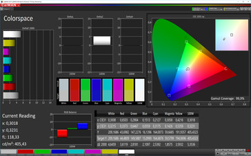 CalMAN - Cobertura de espacio de color, Cálido (sRGB)