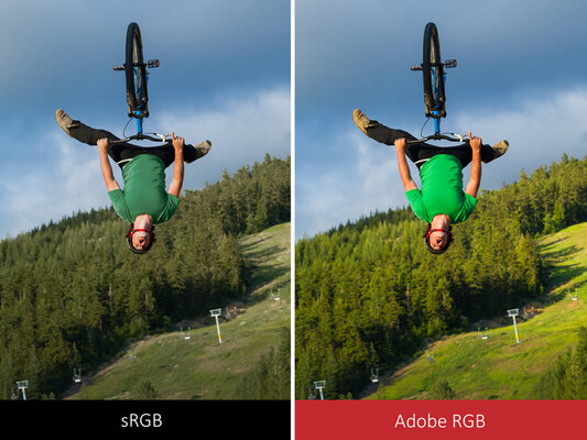 Adobe RGB puede mostrar más colores saturados que sRGB. (Fuente: ViewSonic)