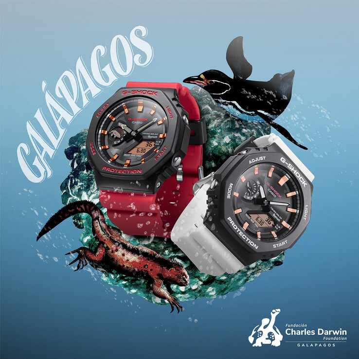 (Fuente de la imagen: Casio)