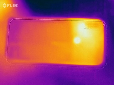 Mapa de calor en la parte posterior